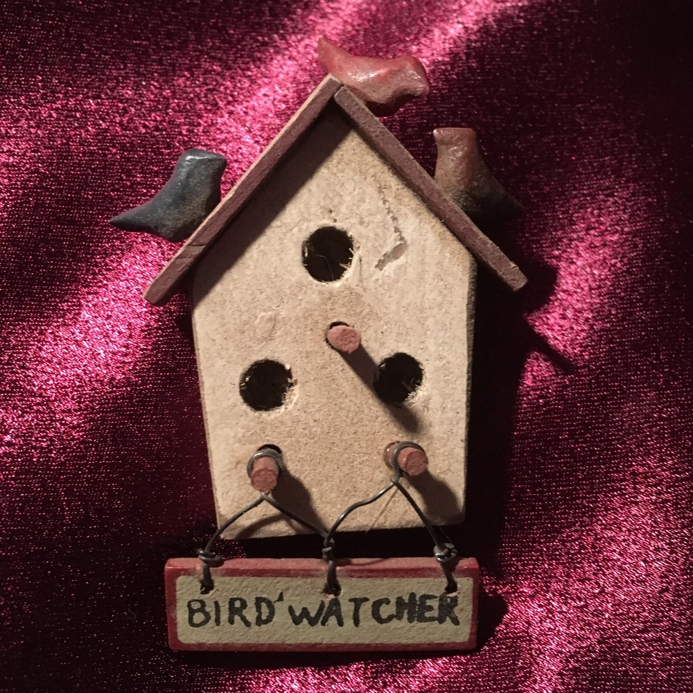 Bird Watcher pin
